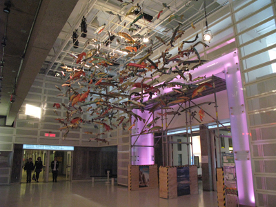 Fish chandelier