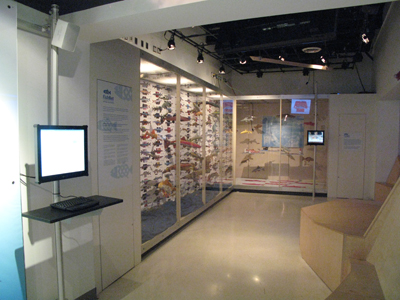 View through gallery